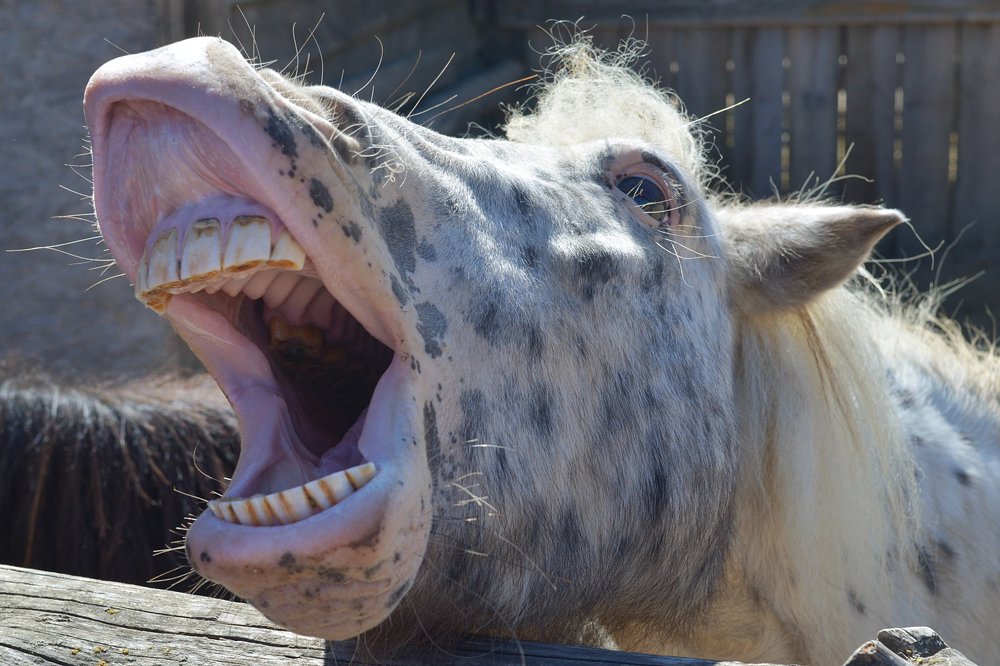 Photograph by Юлия Лещенко