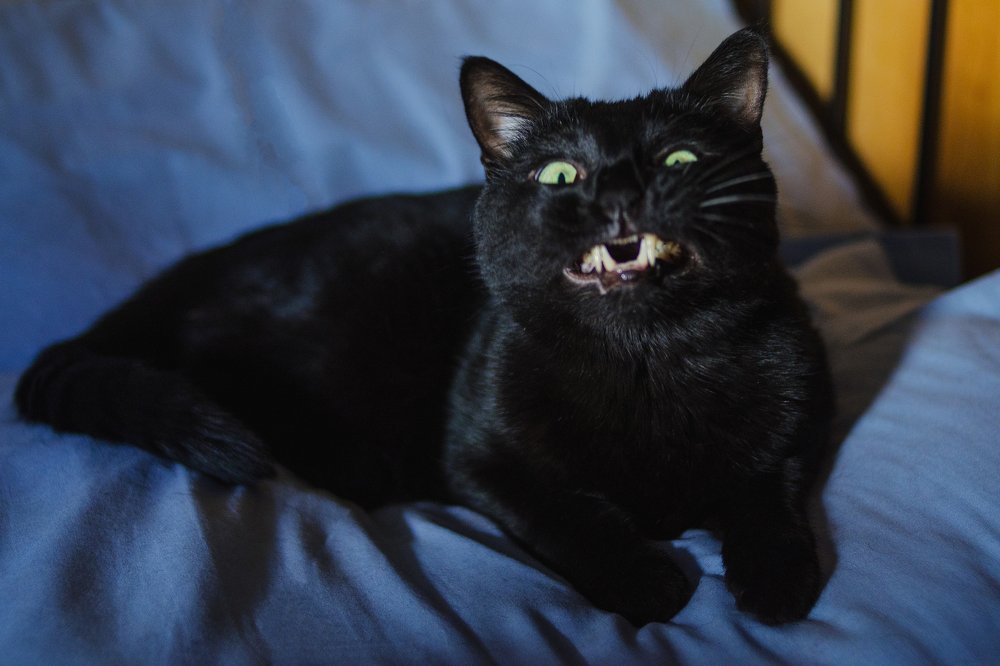 Photograph by Юлия Лещенко