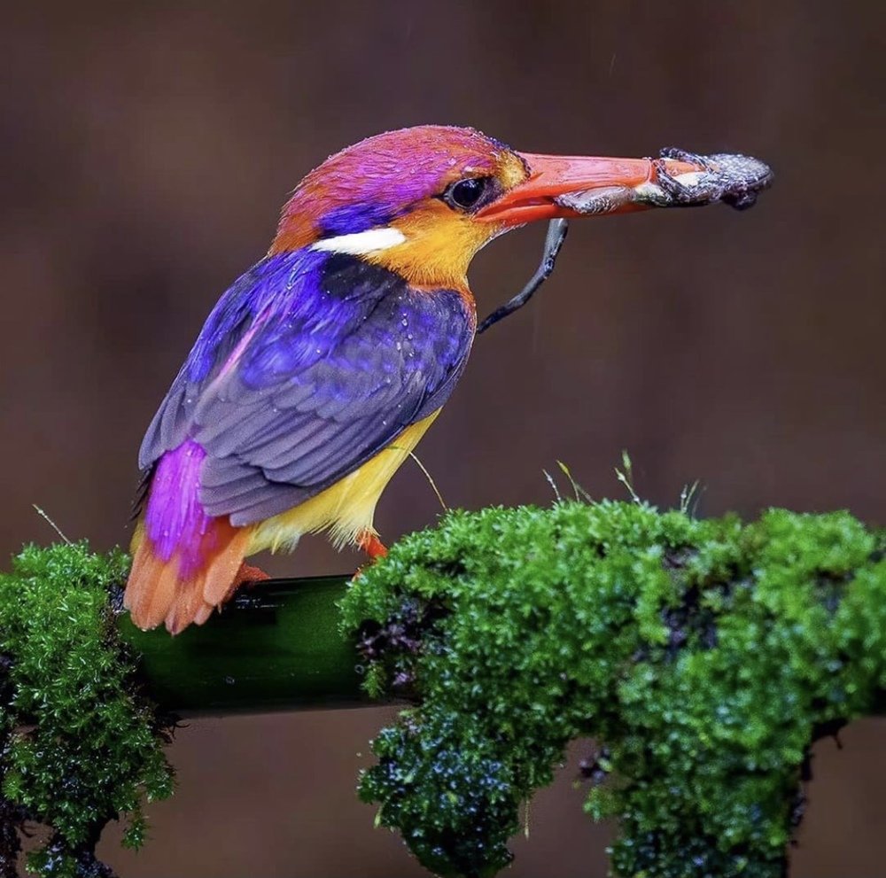 Photograph by Ahsan Ishtiaq