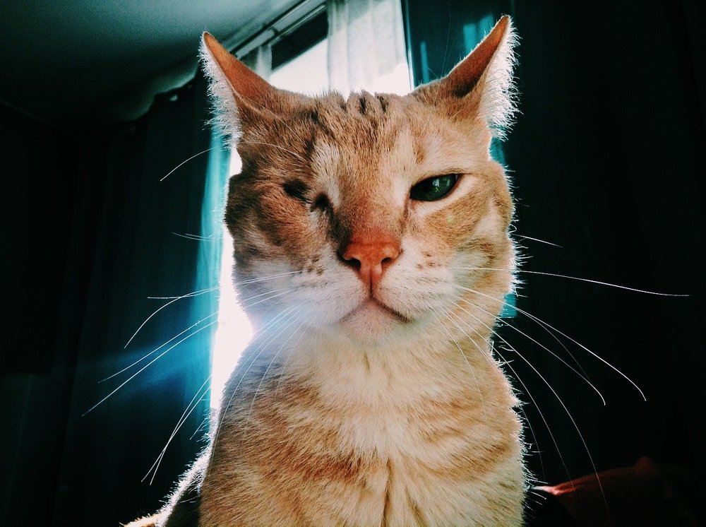 Photograph by Наталья Кузнецова