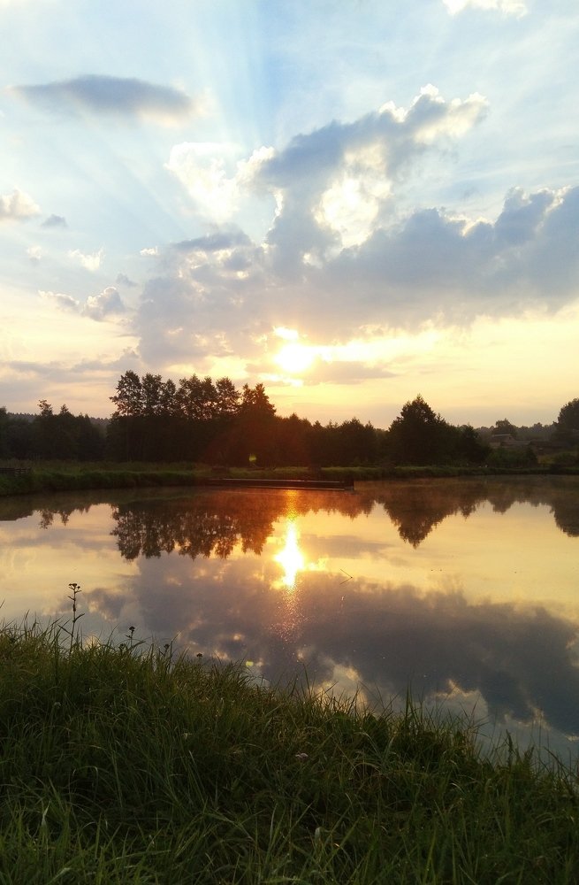 Photo #5022991