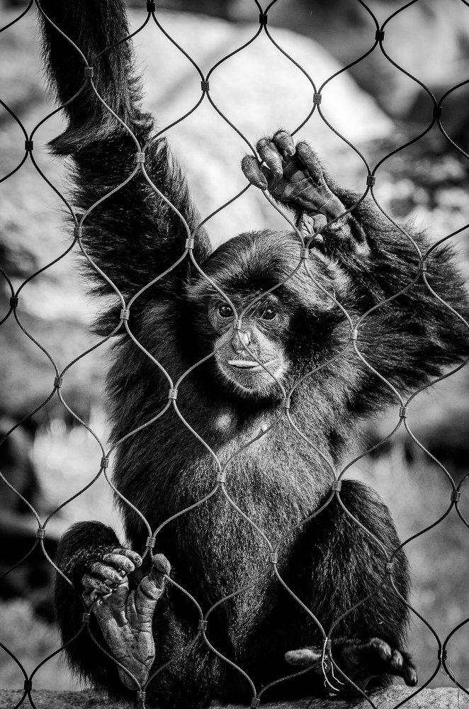 Фотография автора Владимир Брызгунов