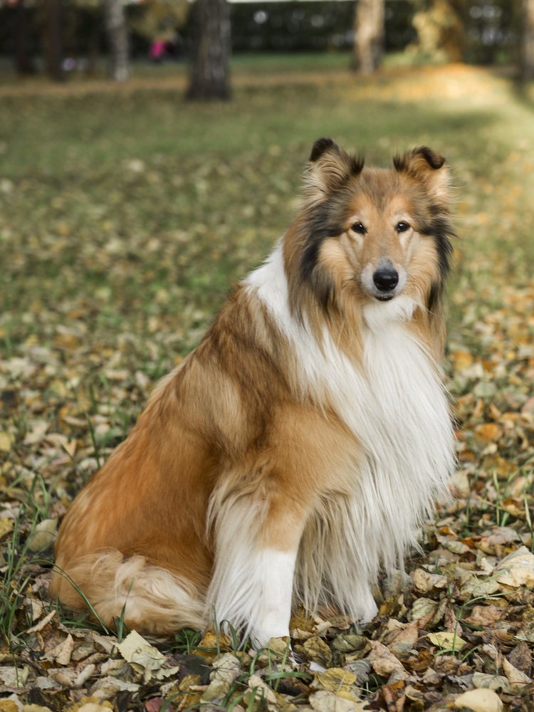 Photograph by Сергей Балухта