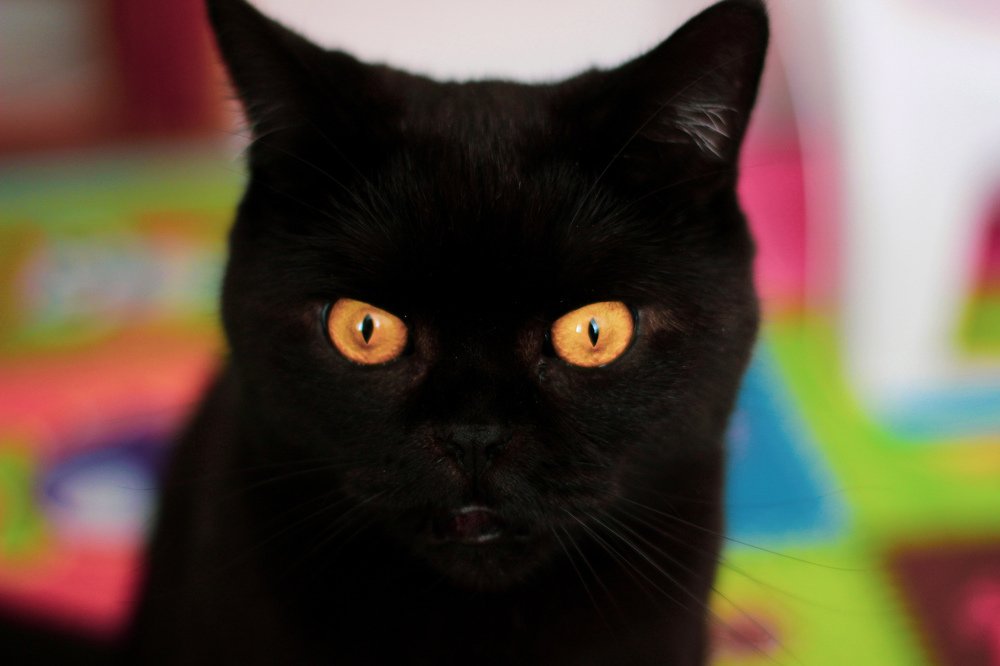 Photograph by Ирина Иванова