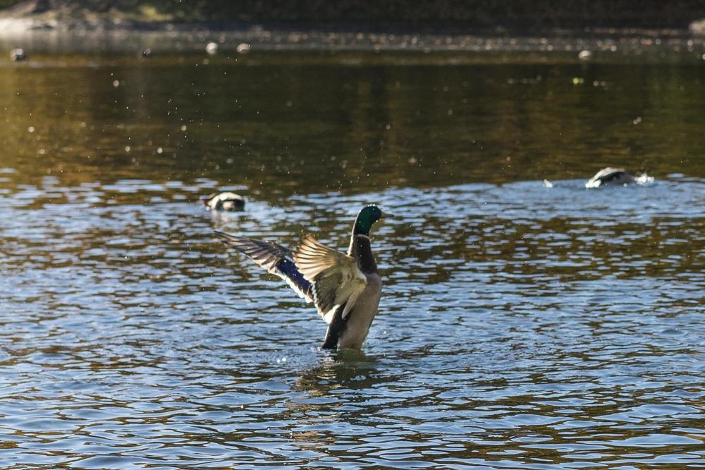 К взлету готов!
