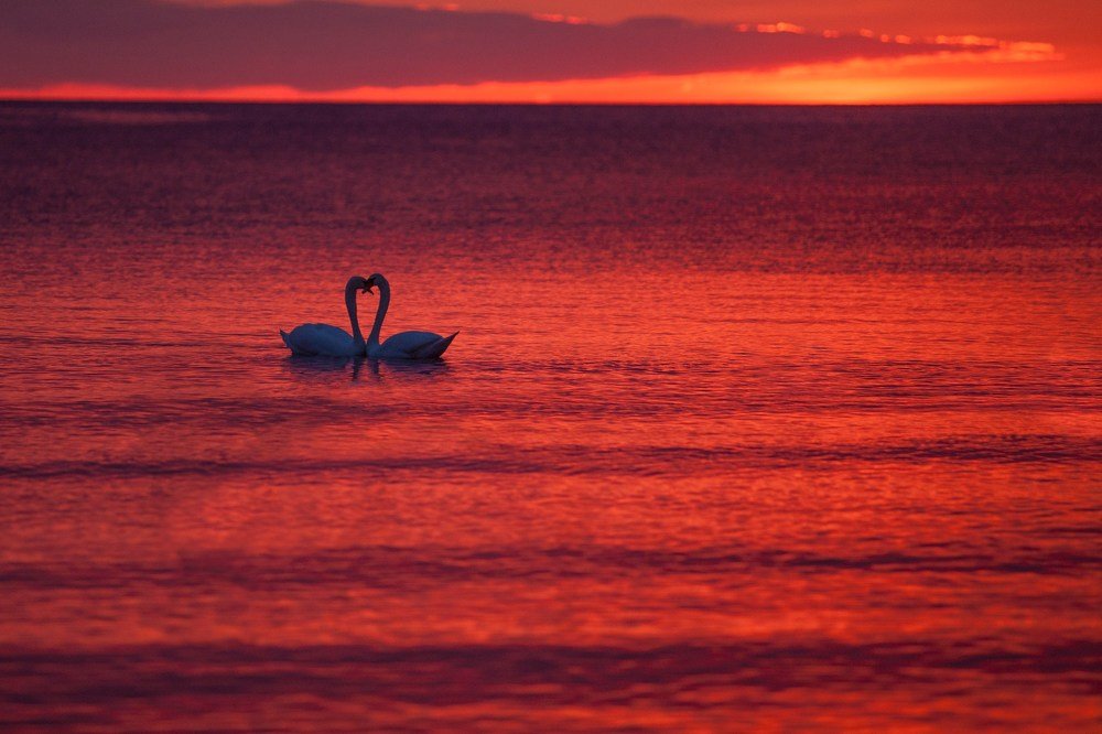 Photograph by Chev Photography