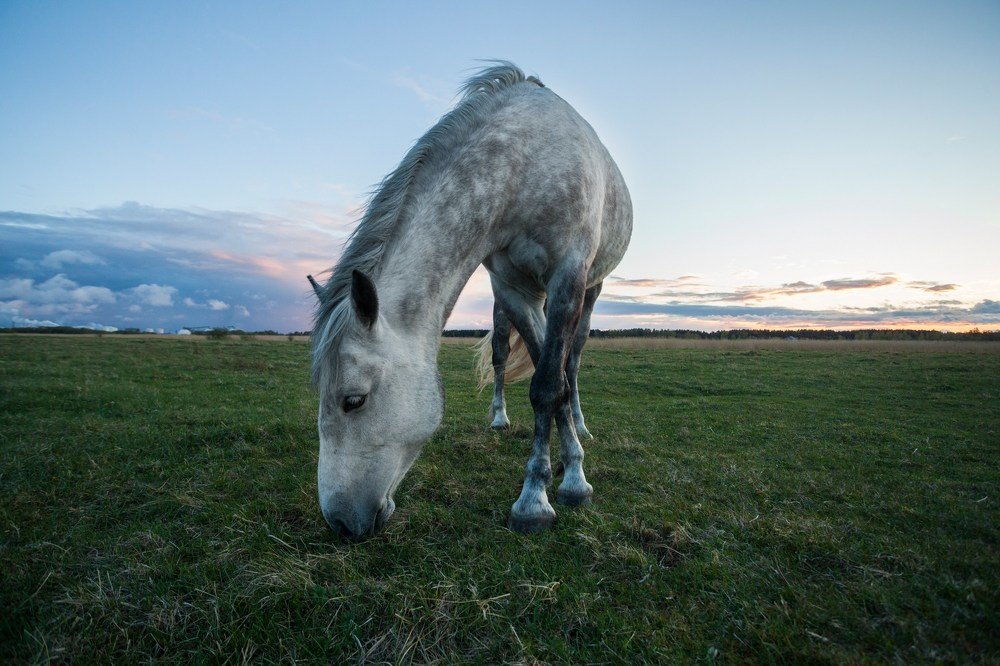 Photograph by Chev Photography