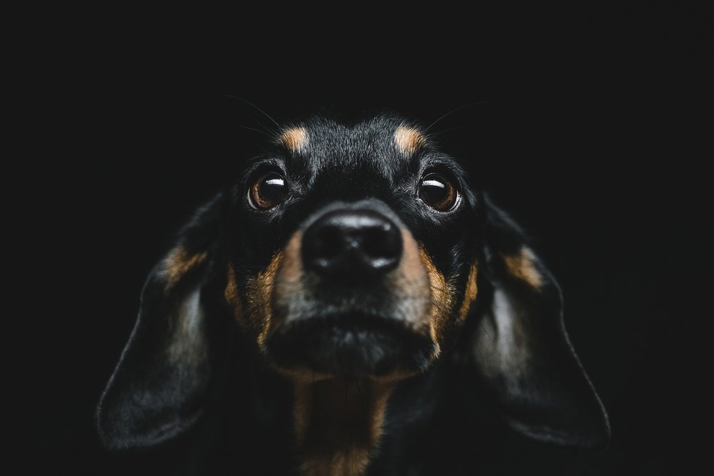 Photograph by Chev Photography