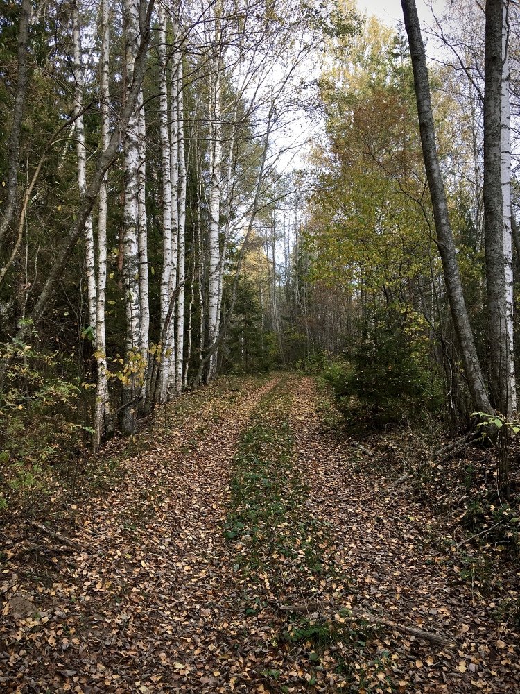 Дорога к доброте.