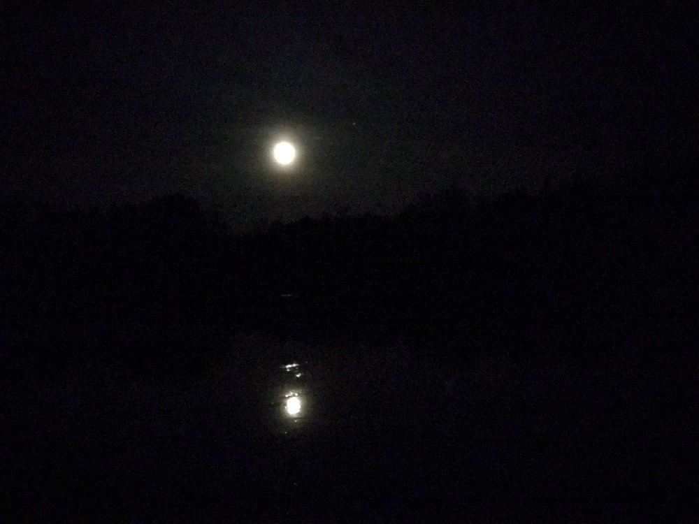 Photograph by Лев Марков