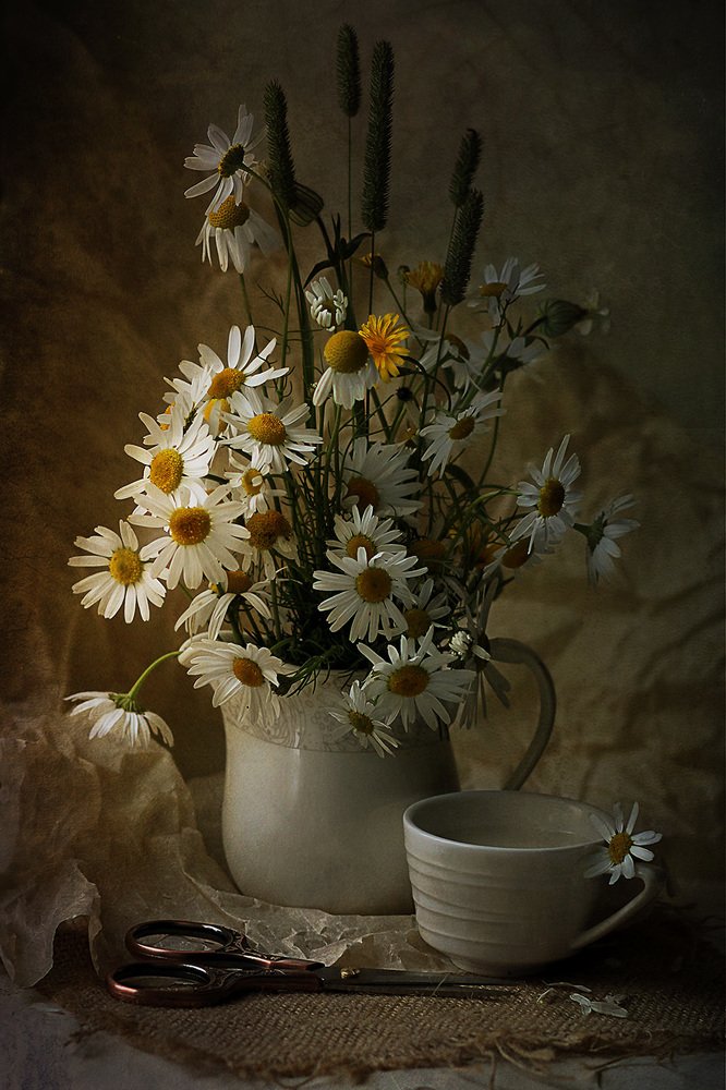 Фотография автора Светлана Дерябина