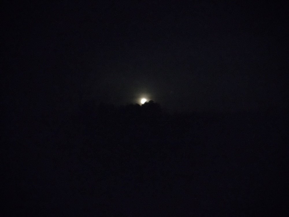 Photograph by Лев Марков