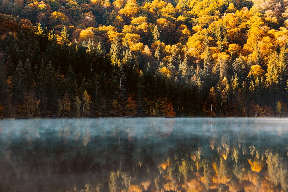 Photograph by Sanziana Rachiteanu