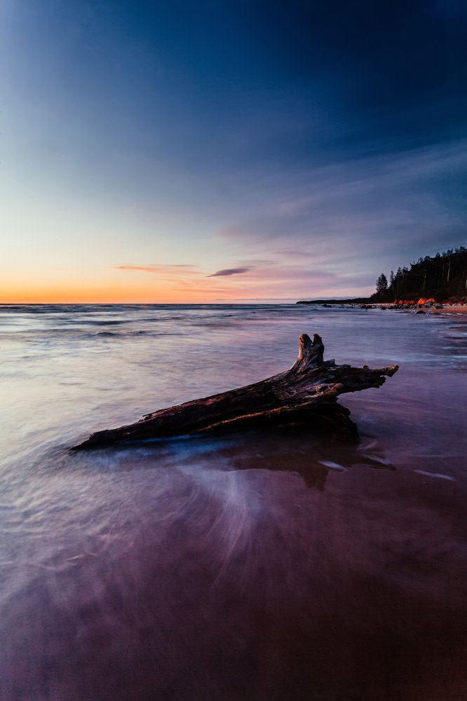 Photograph by Chev Photography