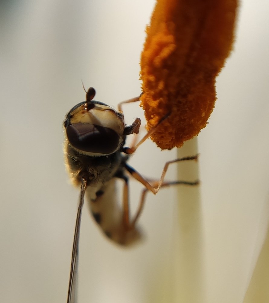 Фотография автора Станислав Ермолин