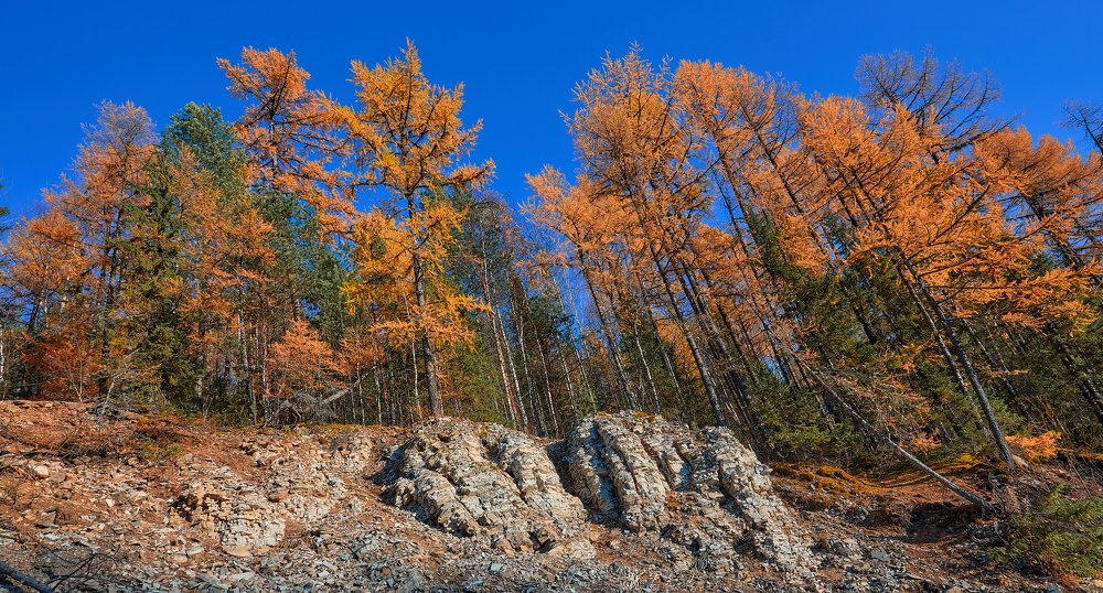 Photograph by Илья Лисаускас