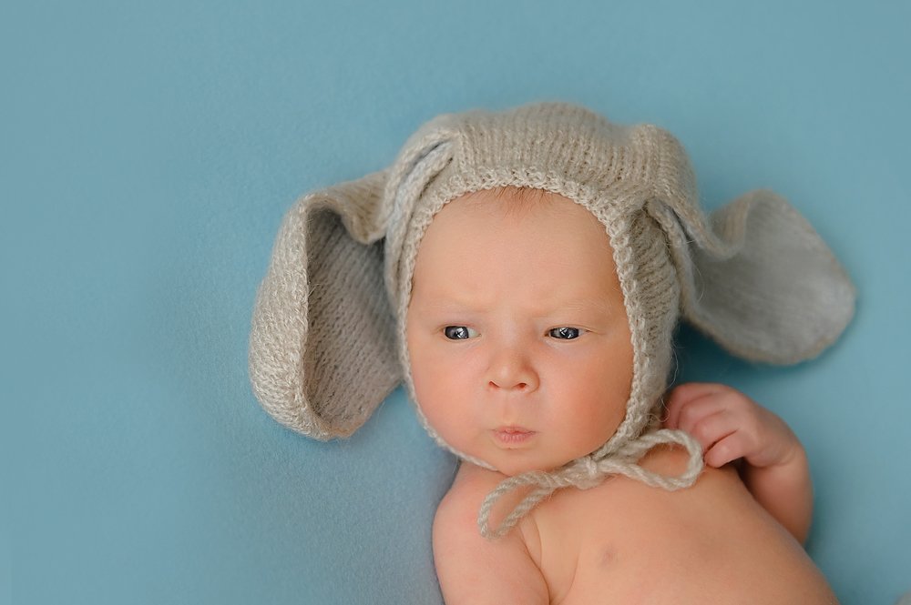 Фотография автора Яна Романова