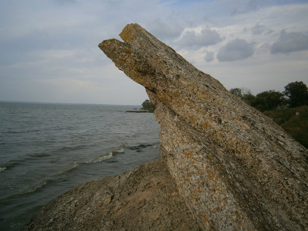 Photograph by Сергей Зиньковский