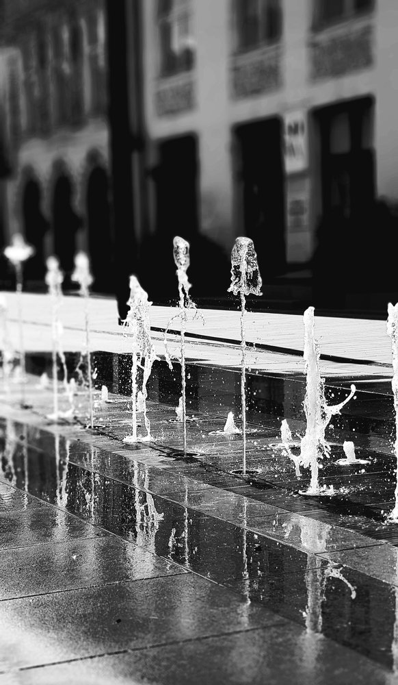 Photograph by Анна Сорокопуд