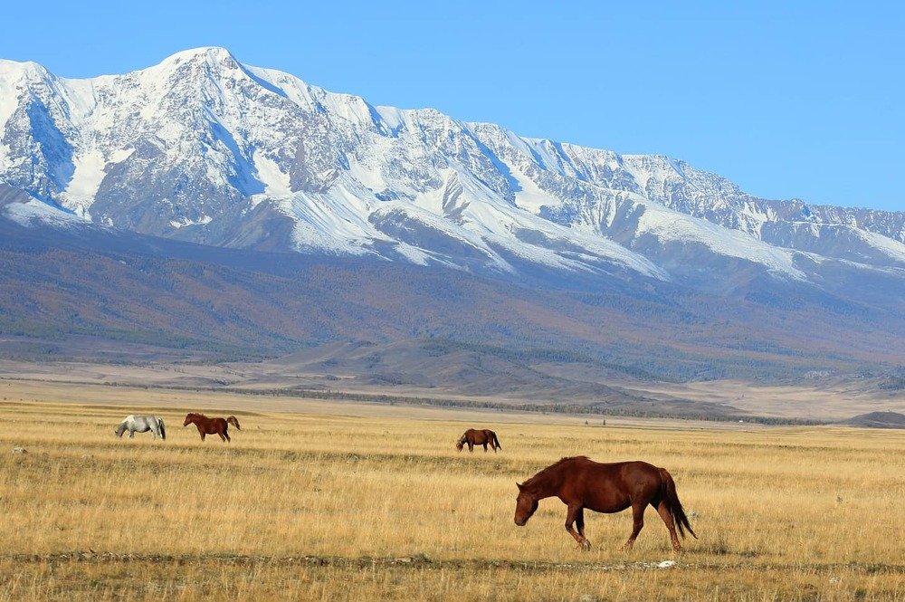 Photograph by Юлия