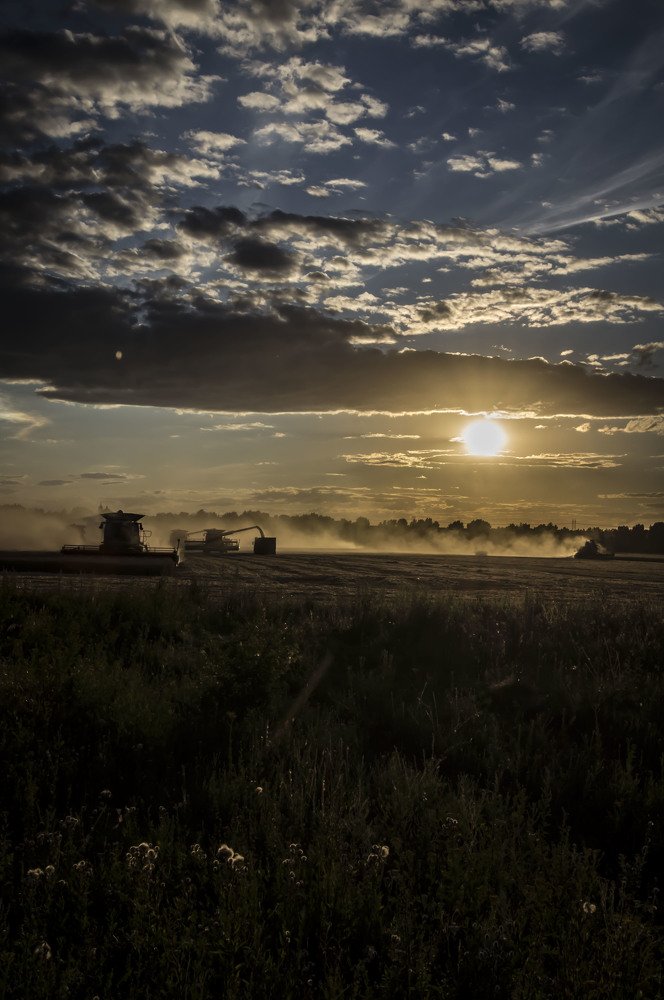 Photograph by Александр Натальин