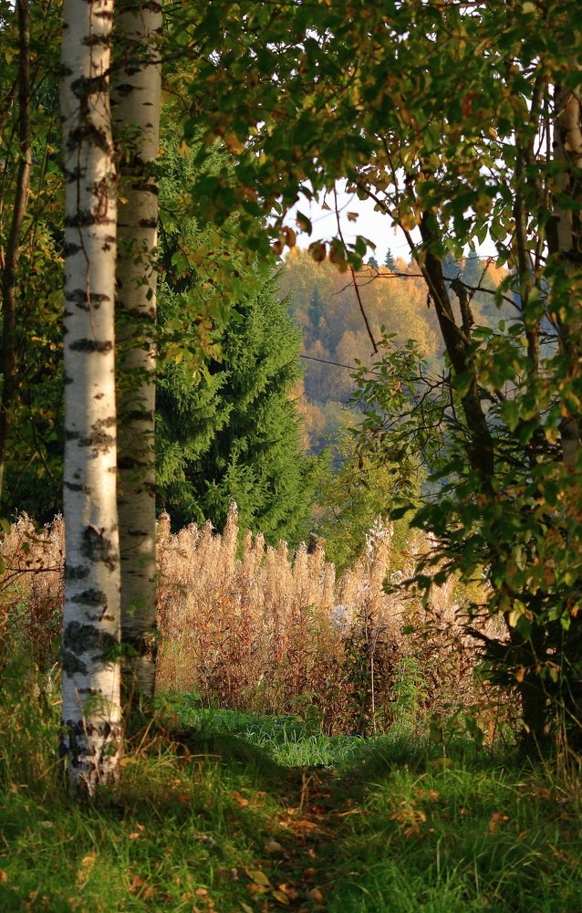 Photograph by Илья Крыжин