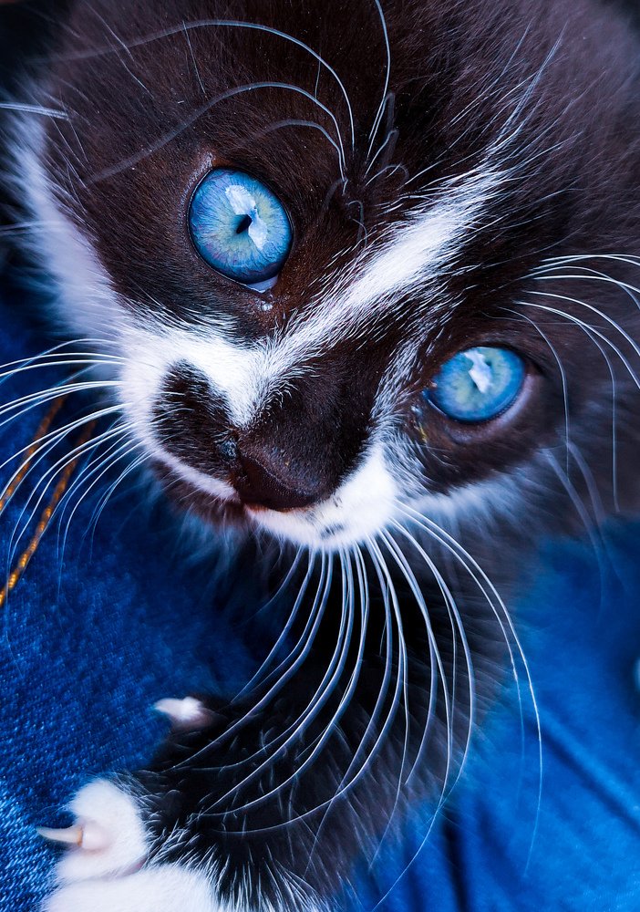 Photograph by Елена Желяева