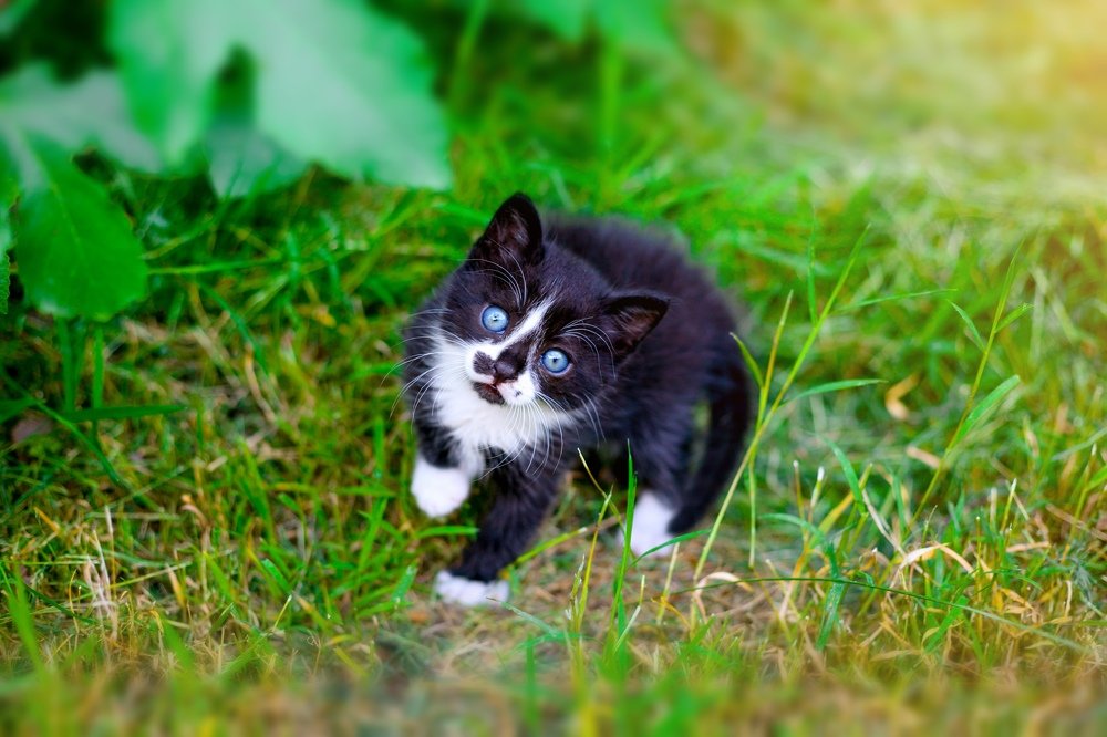 Photograph by Елена Желяева