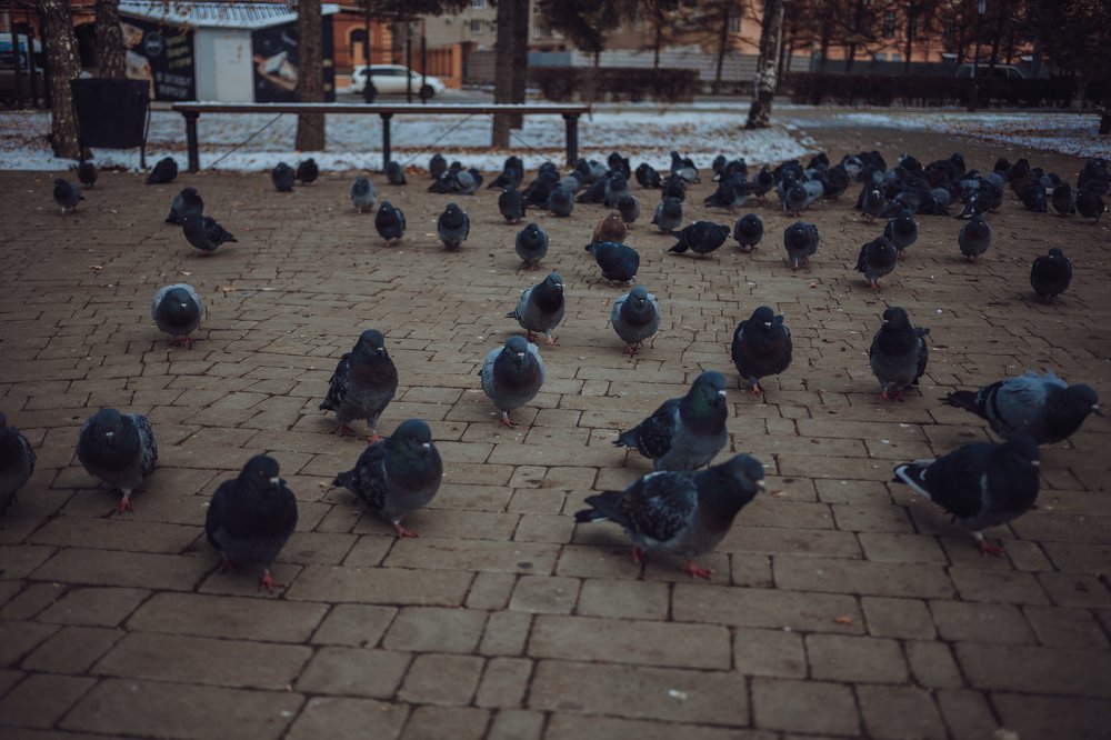 Photograph by Андрей Бодров