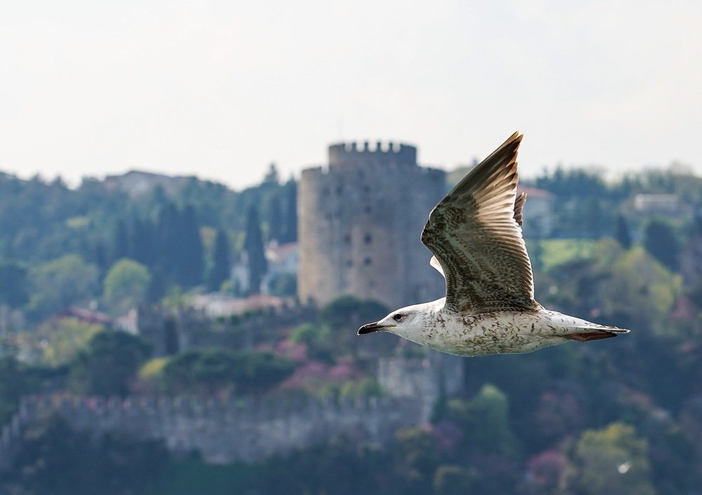 Photograph by Айшат Магомедова