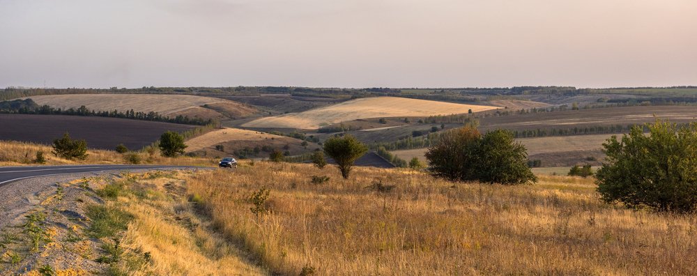 Photograph by Анна Кривицкая