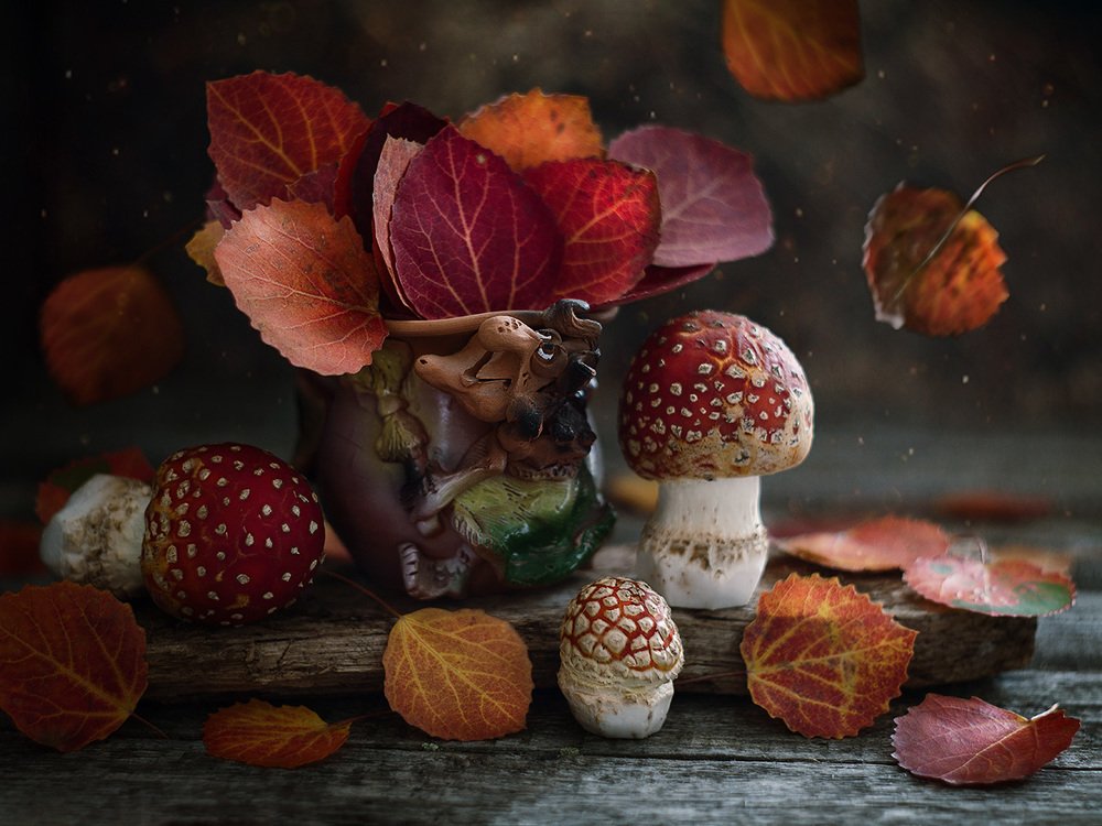 Осенние сказки