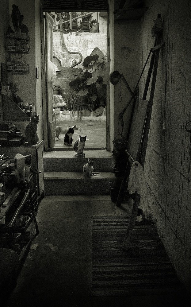 Photograph by Miodrag Milanovic