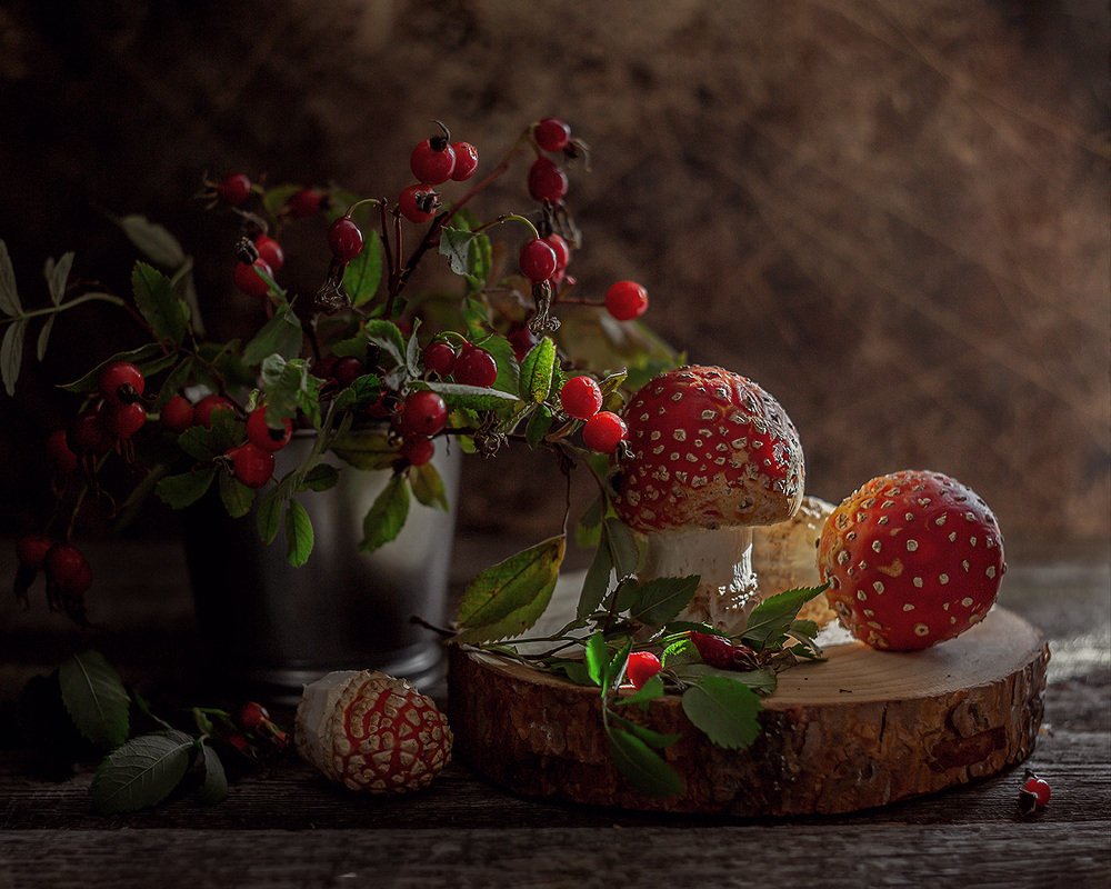 Photograph by Наталья Кабачек