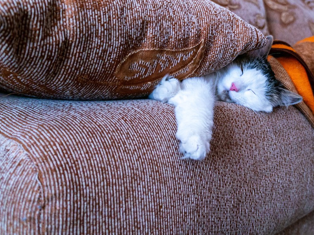 Photograph by Виктор Пономарёв