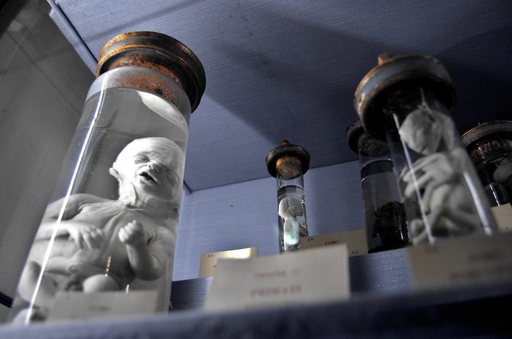 Photograph by Pierluigi Peis