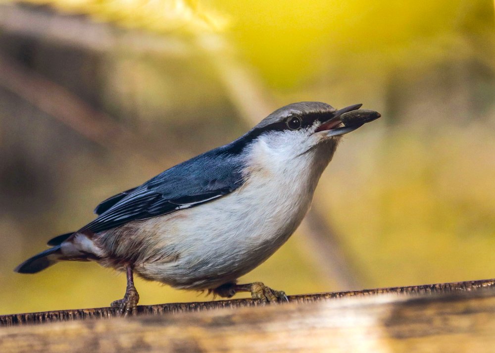 Photograph by Лариса Рулёва