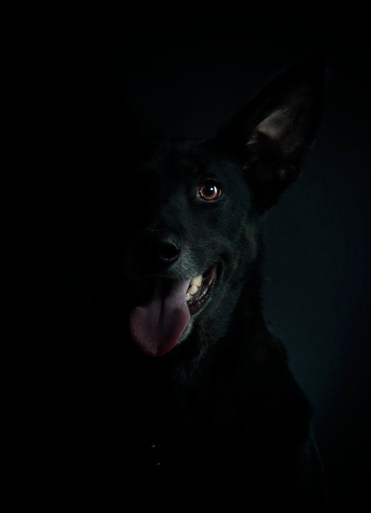 Photograph by Павел Антохин