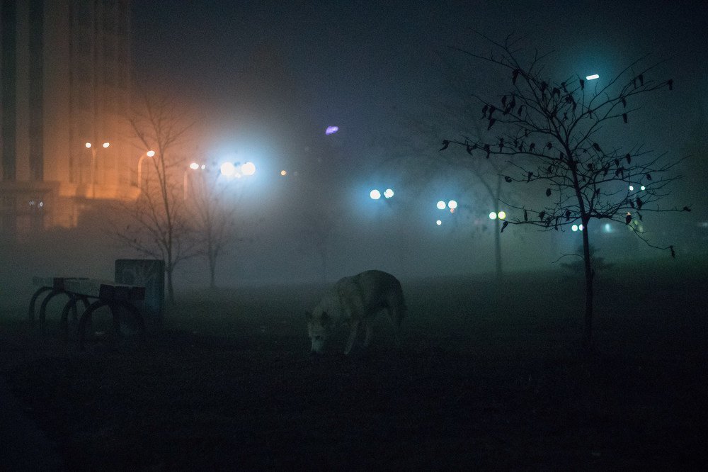 Photograph by Матвей Кипрушкин