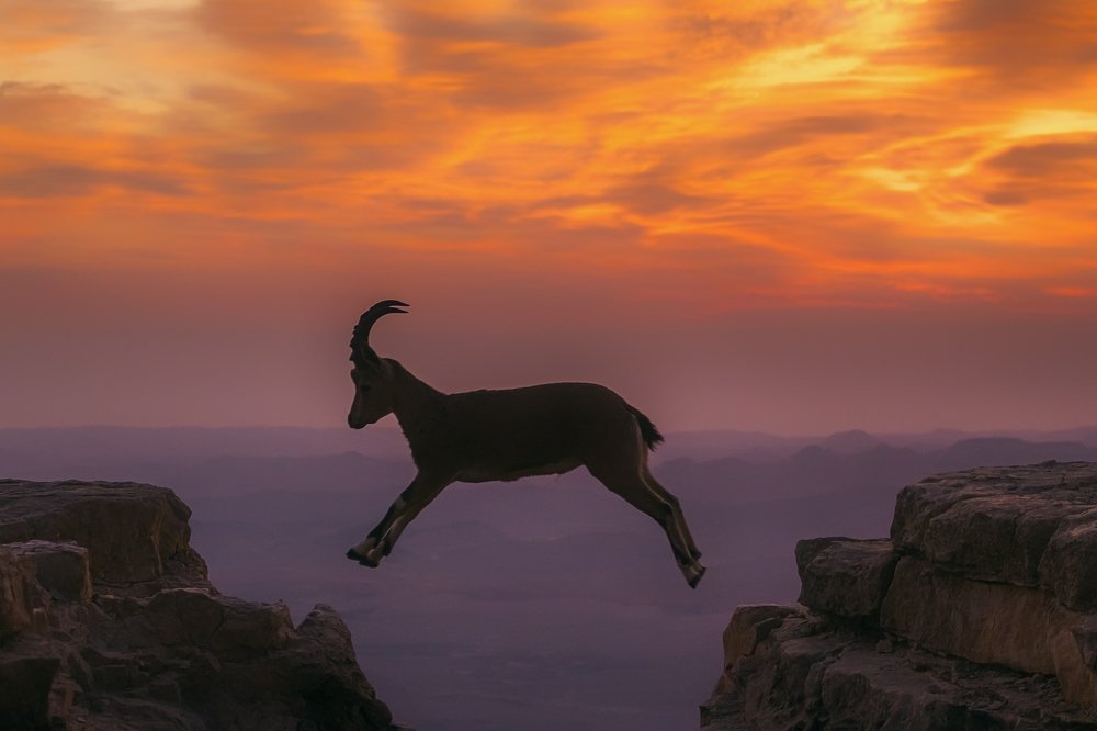 Photograph by tiki ozer