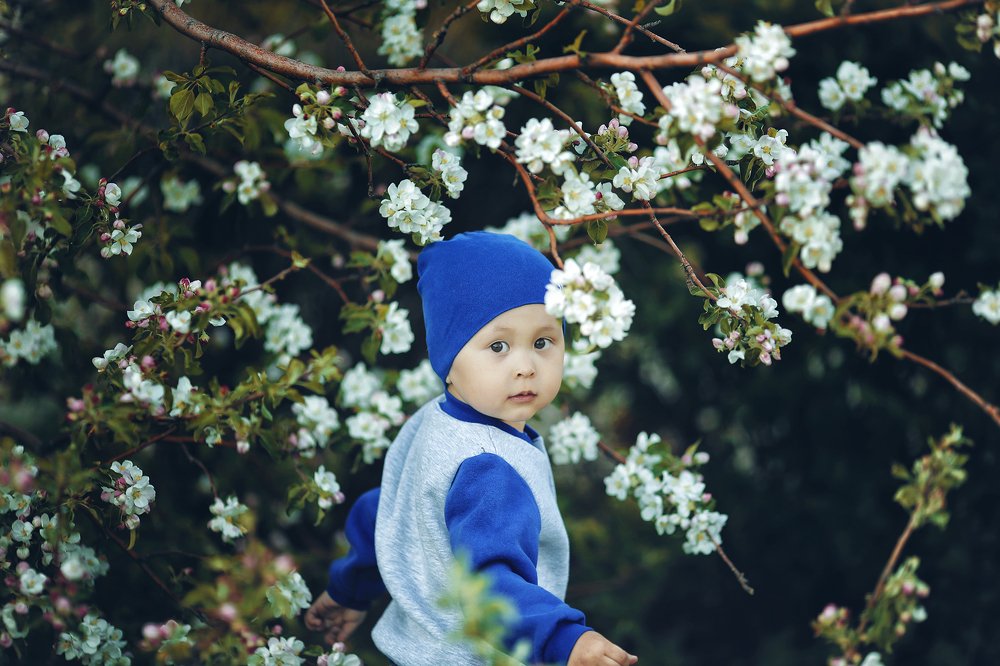 Photograph by Айнура Дусимова