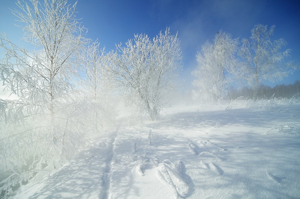 Морозно и ветрено