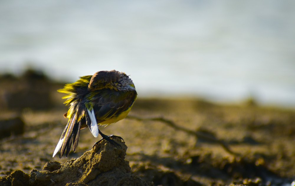 Photograph by Devang Soni