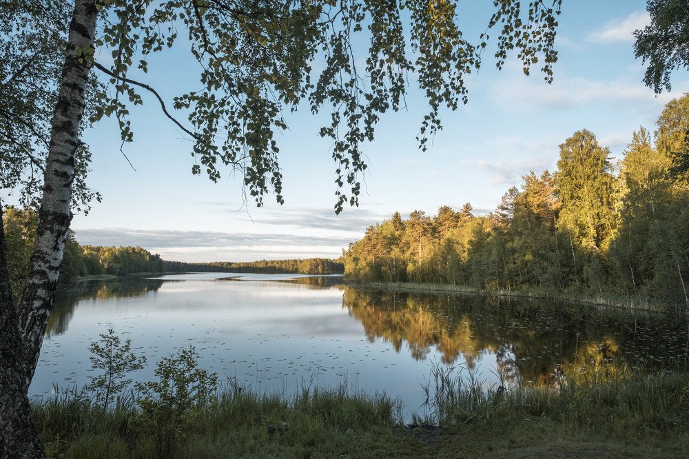 Photograph by Наталья Деменкова