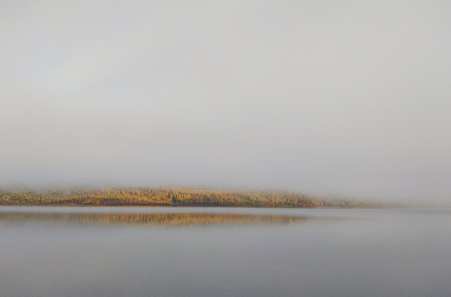 Natural minimalism #2