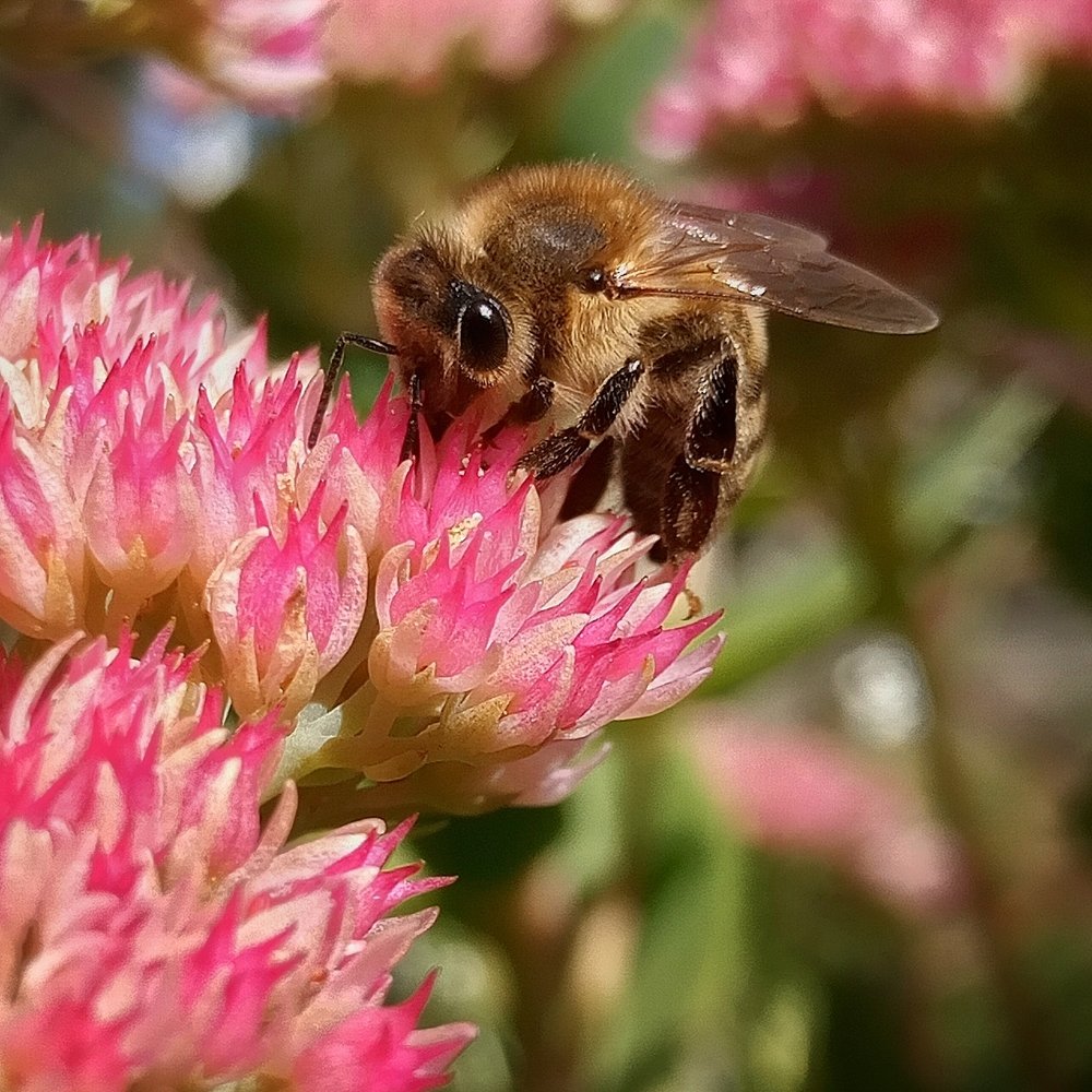Фотография автора Сергей Побережниченко