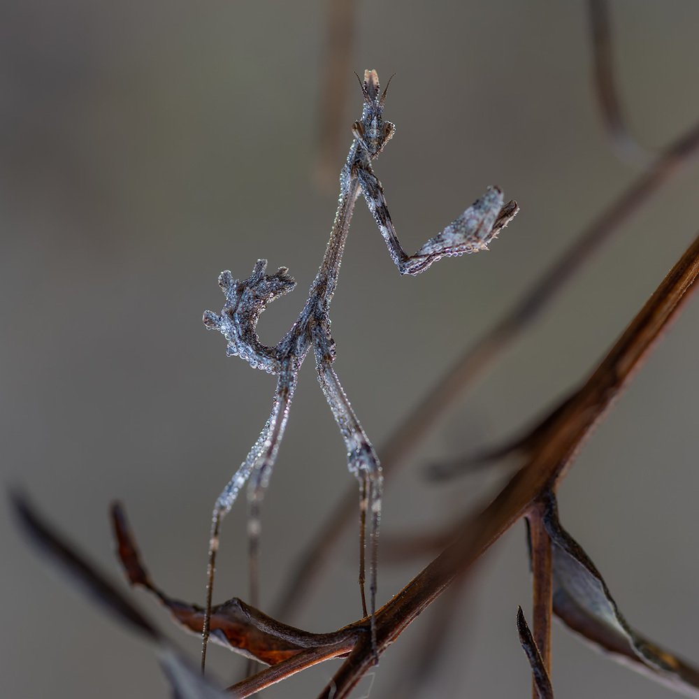 Photograph by Александр Земляной