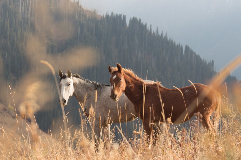 Photograph by Konstantin