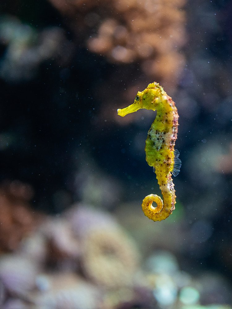 Photograph by Игорь Мозель