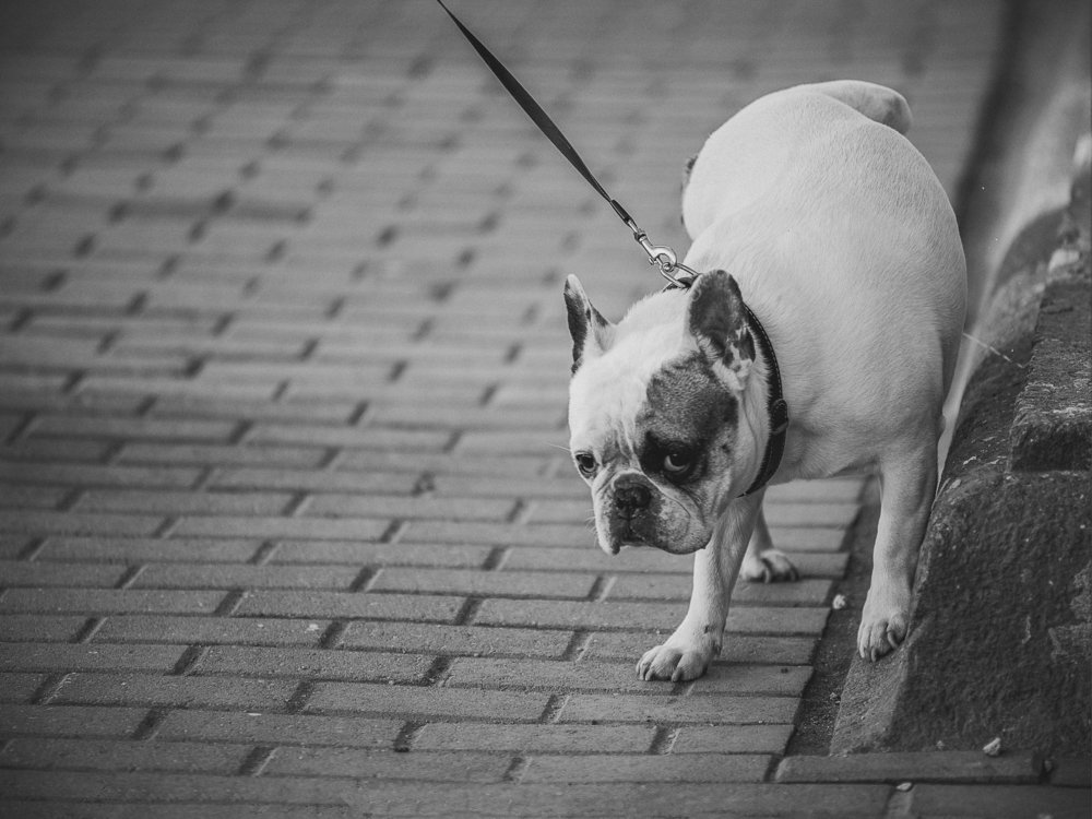 Photograph by Игорь Мозель